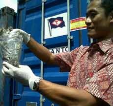 Balai Karantina Surabaya Amankan Kontainer 10 Ton Bulu Itik & Ayam