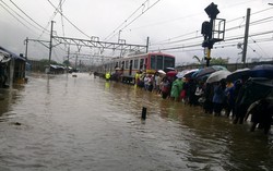 Tanggulangi Banjir Jakarta, Jokowi Harus Gandeng Banten dan Jabar