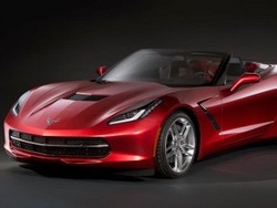 Si Ikan Pari Tampil Telanjang