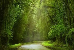 Begini Indahnya Alam Lombok dan Sumbawa