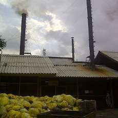 Setahun, RSU dr Soetomo Hasilkan 450 Ton Limbah Medis