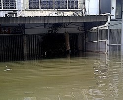 Seribuan Korban Banjir di Pluit Keluhkan Gatal-gatal