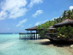 Derawan, Pantai Pasir Putih & Lautnya Juara!
