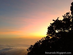 Inilah Hadiah Bagi Pendaki Gunung Pangrango