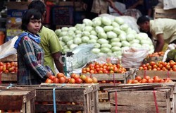 Cuaca Buruk Masih Terjadi, Distribusi Bahan Pokok Terancam