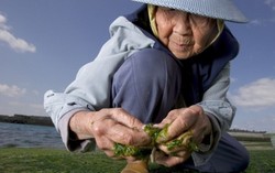 Rahasia Makan Sehat 5 Negara Berpenduduk dengan Umur Terpanjang di Dunia