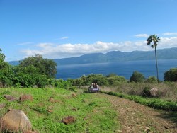 Lembata, Sang Perawan dari Nusa Tenggara