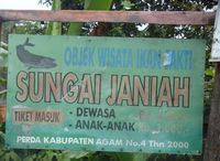 Melihat Ikan Sakti di Sumbar