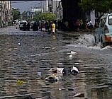 Pasca Banjir, Pusat Bisnis Glodok Kembali Bergeliat
