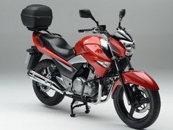 Aksesoris Standar untuk Suzuki Inazuma