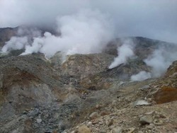 Gunung Papandayan, dari Kawah Belerang Sampai Padang Edelweiss