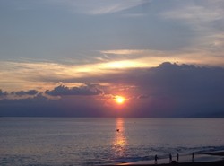 Endao, si Hitam Manis dari Flores