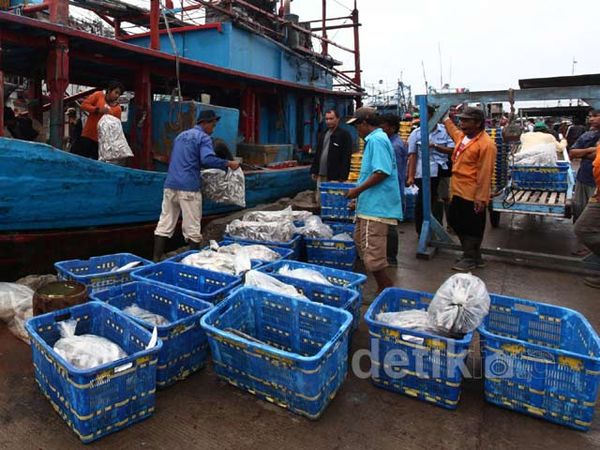 Cuaca Buruk, Tangkapan Ikan Menurun
