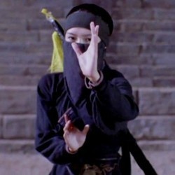 Sekuel Crouching Tiger, Hidden Dragon Akan Diproduksi Tanpa Ang Lee