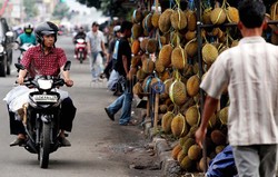 Pemerintah Tutup Sementara Impor Durian, Nanas, Pepaya, Hingga Pisang 