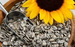 Ini Dia 4 Bijian yang Bernutrisi Super!