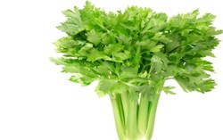 Wah, Seledri Ternyata Mampu Bikin Pria Jadi Seksi dan Penuh Gairah!