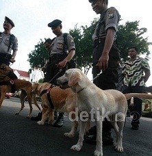 Kompolnas Awasi Pembelian dan Penggunaan Anjing & Kuda Polri Rp 16 M