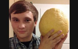 Jeruk Lemon Seberat 4 Kg Tumbuh di California