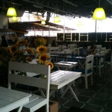 Kehidupan tak Pernah Berakhir Bagi Kaum Vegan