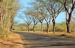 Indahnya Lesung di Pulau Jawa