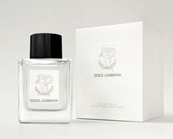 Dolce & Gabbana Rilis Parfum untuk Bayi Seharga Rp 434 Ribu