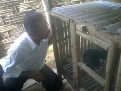 Dahlan Iskan Tinjau Lokasi Pengembangan Kelinci Moderen di Pasuruan