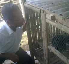 Dahlan Iskan Tinjau Lokasi Pengembangan Kelinci Moderen di Pasuruan