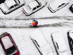 Wah di Shanghai, Harga Pelat Kendaraan Rp 116 Jutaan