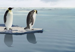 Perubahan Iklim Ekstrem Picu Obesitas & Gangguan Produksi Hormon