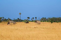 Afrika ala Banten di Tanjung Lesung