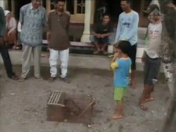 Warga Tangkap Babi Diduga Jadi-jadian