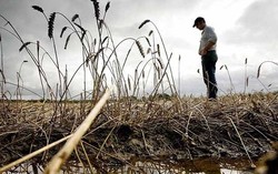 Cuaca Buruk Ternyata Bikin Nutrisi Buah dan Sayur Berkurang