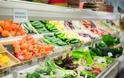 Mengapa Makanan Organik Mahal Harganya? (2)