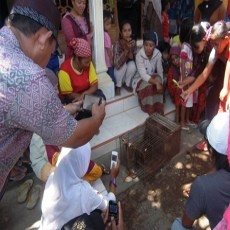 Warga Situbondo Tangkap Babi Ngepet