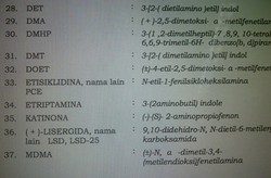 Ini Penjelasan BNN Soal Bahaya Zat yang Dikonsumsi Raffi Ahmad Cs