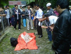 Mayat Bayi Ditemukan Tersangkut di Semak-semak Sungai Ciliwung Depok