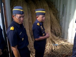 Bea Cukai Tanjung Priok Amankan Belasan Kontainer Rotan & Kayu Ilegal