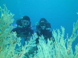 Diving di Gorontalo, Sekali Menyelam Langsung Jatuh Cinta