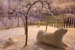 Lho? Ada Musim Salju di Malaysia