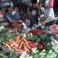 Impor Sayur dan Buah Turun 30% di 2012