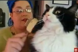 Kecanduan Aneh, Wanita Ini Hobi Makan Bulu Kucing