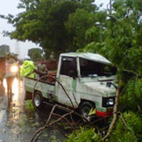Hujan Disertai Angin Kencang di Madiun, Satu Orang Patah Tulang