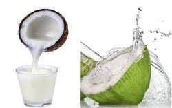 Ternyata Santan Sama Sehatnya dengan Minyak Kelapa