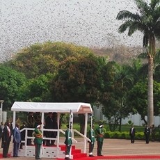 21 Dentuman Meriam Sambut SBY di Istana, Jutaan Kelelawar Hiasi Langit 