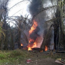 Sumur Minyak Ilegal Kembali Terbakar di Langkat, 1 Orang Terluka