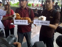 KPK Diberi Macan dan Ayam Sayur