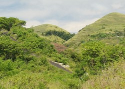 Siapa Sangka, Bali Juga Punya Bukit Teletubbies