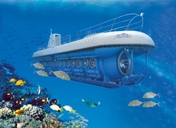 Tak Bisa Diving, Coba Tur Kapal Selam di Hawaii