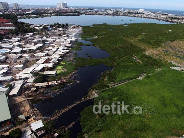 Atasi Banjir Waduk Pluit Dikeruk